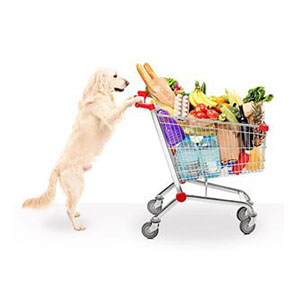 Groceries & Pets